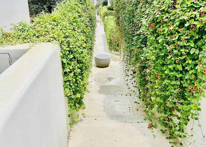 Apartmán Terra Vista